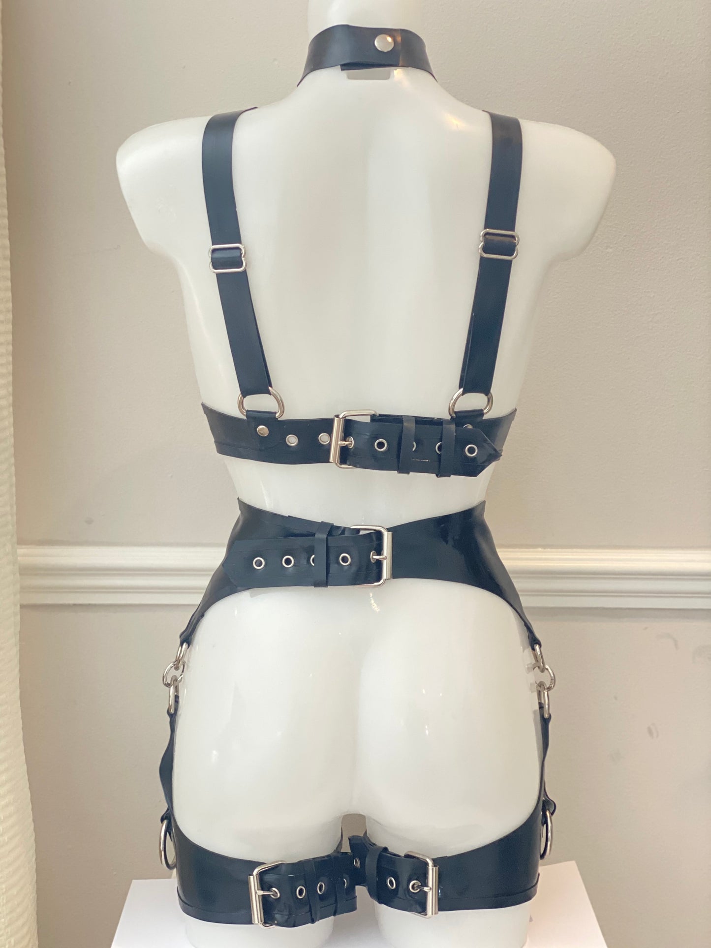 "LEDA" Ring Harness
