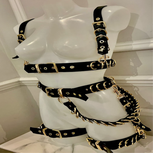 "D" Ring Chest Harness